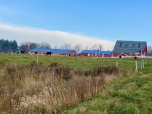 Hathaway Farm